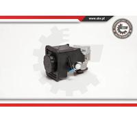 Pompa servosterzo idraulico senza puleggia 10SKV012 ESEN SKV per BMW 3 Touring 5