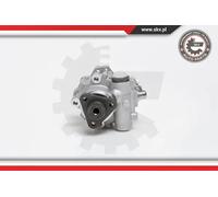 Pompa servosterzo idraulico senza puleggia 10SKV014 ESEN SKV per BMW 5 Touring 5