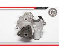 Pompa servosterzo idraulico senza puleggia 10SKV015 ESEN SKV per BMW Z3 Roadster