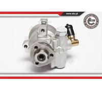 Pompa servosterzo idraulico senza puleggia 10SKV047 ESEN SKV per VW SEAT