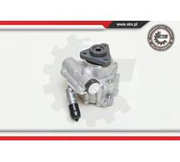 Pompa servosterzo idraulico senza puleggia 10SKV048 ESEN SKV per AUDI Q5