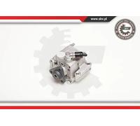 Pompa servosterzo idraulico senza puleggia 10SKV088 ESEN SKV per BMW 3 X3 1 X1