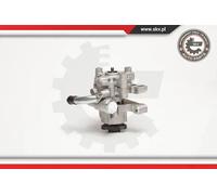 Pompa servosterzo idraulico senza puleggia 10SKV106 ESEN SKV per FORD CITROËN