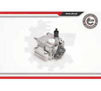 Pompa servosterzo idraulico senza puleggia 10SKV109 ESEN SKV per BMW 3 Compact 3