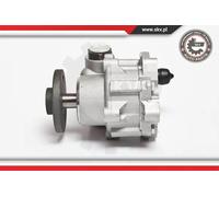 Pompa servosterzo idraulico senza puleggia 10SKV123 ESEN SKV per BMW 3 3 Touring