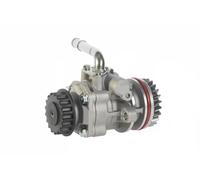 Pompa servosterzo per VW | 10SKV131, 715520312, CSP73100GS, 559250
