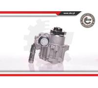 Pompa servosterzo idraulico senza puleggia 10SKV166 ESEN SKV per AUDI SKODA VW