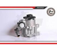 Pompa servosterzo idraulico senza puleggia 10SKV167 ESEN SKV per AUDI A6 C5