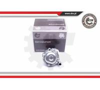 ESEN SKV 10skv170 Servo pompe