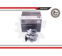 Pompa servosterzo idraulico senza puleggia 10SKV172 ESEN SKV per VW