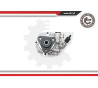 ESEN SKV Pompa servosterzo idraulica 10SKV193 per VW Amarok e Transporter V senza puleggia