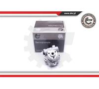 Pompa servosterzo idraulico senza puleggia 10SKV256 ESEN SKV per VW SEAT SKODA