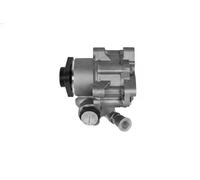 Sasic Pompa sterzo 7076058 Compatibile con Audi A4, Skoda Superb, VW Passat