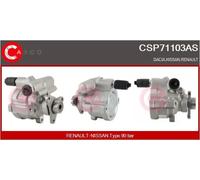 Pompa servosterzo idraulico senza puleggia CSP71103AS CASCO per RENAULT DACIA
