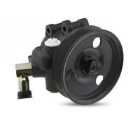 NTY Pompa idraulica, Sterzo compatibile con FORD SPW-FR-022