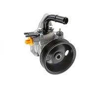 NTY SPW-KA-006 Pompa idraulica, sterzo