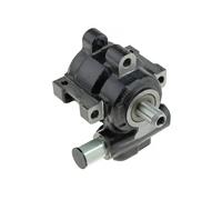 NTY Pompa idraulica servosterzo SPW-CH-030 per Dodge RAM 1500 Pick-Up 4.7 4x4