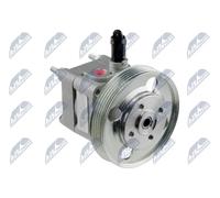 NTY Pompa idraulica, Sterzo compatibile con VOLVO SPW-FR-005