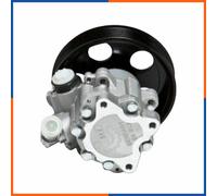 Pompa servosterzo per AUDI | 10SKV022, 715520207, CSP73109GS