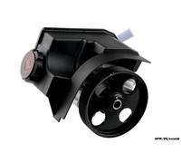 Pompa Servosterzo Per PEUGEOT 206 Furgone 1.9 D 1999-2007 4007HY SPW/PE/019AB