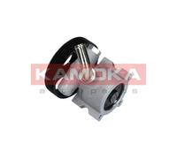 Pompa servosterzo PP076 KAMOKA per CITROËN PEUGEOT