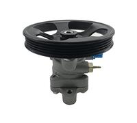 Pompa Servosterzo SW6087085 6 per Pompa idraulica del Sistema di sterzo Lingyue V3