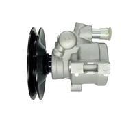 Pompa Servosterzo WRC 4900438