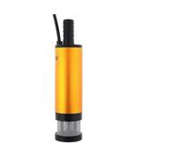 Pompa Sommergibile In Acciaio Inossidabile Da 12 L/min 60 W 12 V/24 V Per Trasferimento Acqua Olio E Carburante Per Auto Per Roulotte Per Nautica Rubinetto Benzina(24V Alligator Clips)