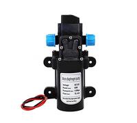 Pompa sommergibile piccola regolabile Nuova pompa dell'acqua a membrana elettrica 12 V DC con interruttore automatico 0,8 Mpa, spruzzo per lavaggio auto alta pressione 5 l/min