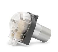 Pompa sommergibile piccola serie di pompe peristaltiche, portata da 80 a 450 ml/min, 12/24 V CC, minibomba peristaltica(24VDC)