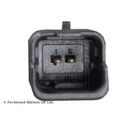 Blue Print ADN10313 Pompa Acqua Lavaggio, Pulizia Cristalli; Pompa Acqua Lavaggio, Lavafari