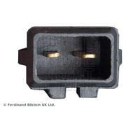 BLUE PRINT ADN10317 Pompa acqua lavaggio, Lavafari