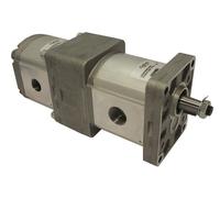 Pompa Tandem Idraulica Galtech, Gruppo 1 A Gruppo 1 - 6,3 CC A 2,5 CC