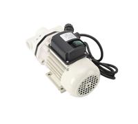 Pompa urea 220V pompa Urea Kit di rifornimento Pompa A Membrana Pompa chimica pompa di alimentazione autoadescante per Pompa A Membrana Urea per rifornimento