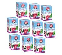 Pompadour® | Tisana a Freddo per Infusione | Frutti di Bosco con Menta | Tisana in Acqua Fredda - 10 x 18 Filtri (450 Gr) | Infuso a Freddo