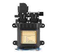 Pompe a Membrana, Pompa a membrana portatile for acqua a doppio motore con pressostato incorporato for uso domestico(Long shell)