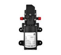 Pompe for acqua a membrana elettrica da 72 W e 12 V CC, interruttore automatico, 6 l/pressione(A Type Pressure)
