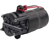 Pompe for acque reflue/effluenti KGP002 Pompa elettrica a ingranaggi CC 12V 24V 1,5/2,5 LPM Acqua calda fredda Liquido viscoso for alimenti Erogazione di caffè, tè e latte(12v Pg2 2.5l)