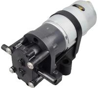 Pompe for acque reflue/effluenti Pompa elettrica a ingranaggi CC 12V 24V C5XX Erogatore di acqua calda for uso alimentare 1,2-2,5 LPM trasferimento solvente for erogazione liquidi oleosi(C512-2800)