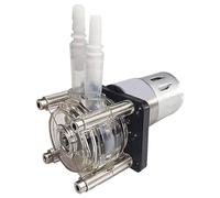 Pompe peristaltiche ad alto flusso da 500 ml/min 24 V Acquario Drip Metering Sostituzione Grande Cuscinetto a Sfere Dosaggio Liquido Flussi Elevati Peristaltici