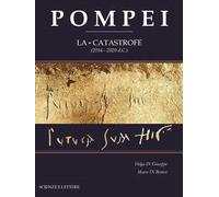 Pompei. La catastrofe (2014-2020 d.C.)