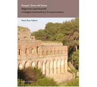 Pompei, Terme del Sarno: diagnostica sperimentale e indagini strutturali per la