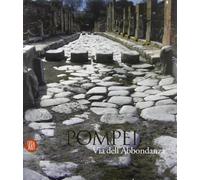 Pompei. Via dell'Abbondanza. Ricerche, restauri e nuove tecnologie. Ediz. italiana e inglese