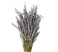 Pomurom Bouquet Fiori Secchi Lavanda, Mazzo di Lavanda Secca, Fiori di Lavanda Essiccati 40cm Lunghi, Fiori Secchi di Lavanda Naturali per La Decorazione Domestica, Matrimonio o Qualsiasi Occasione