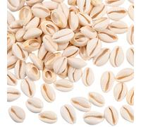 PONABEADIY 1 Scatola da 100 Pezzi da 19~24mm, Perline di Conchiglia di Ciprea Naturale A Spirale con Dorso Aperto, Tema Estivo Hawaii, Perline Ovali Lisce Sfuse per La Creazione di Gioielli, Braccial