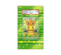 Poncho Pikachu x Charizard - Pokémon PSA Extended Artwork Protective Card Dis...