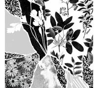 PONCTUATION - MON HERBIER DU MONDE..