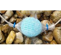 Pond Support Zinger Tester, Blu, 9.0 x 12.0 x 3.0 cm