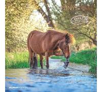 Ponies 2025 CALENDARIO DA PARETE 30X30 CM