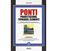 Ponti. Progettazione, tipologie, elementi. Con software